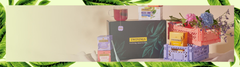 Gift Boxes $55 & under