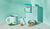 Camomile & Spearmint